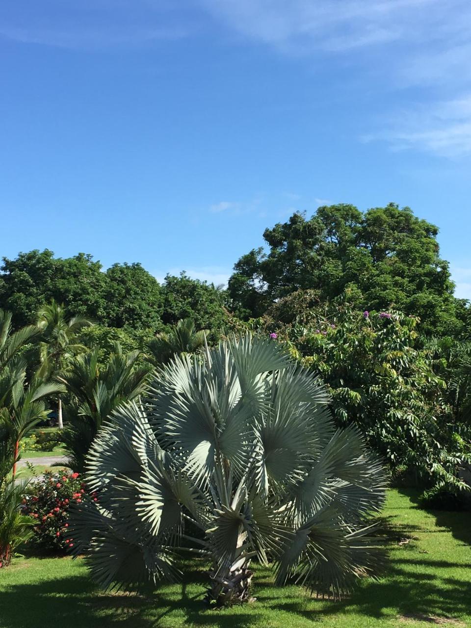 Hotel Los Higuerones Paso Canoas المظهر الخارجي الصورة